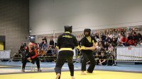 IMG_3384.JPG